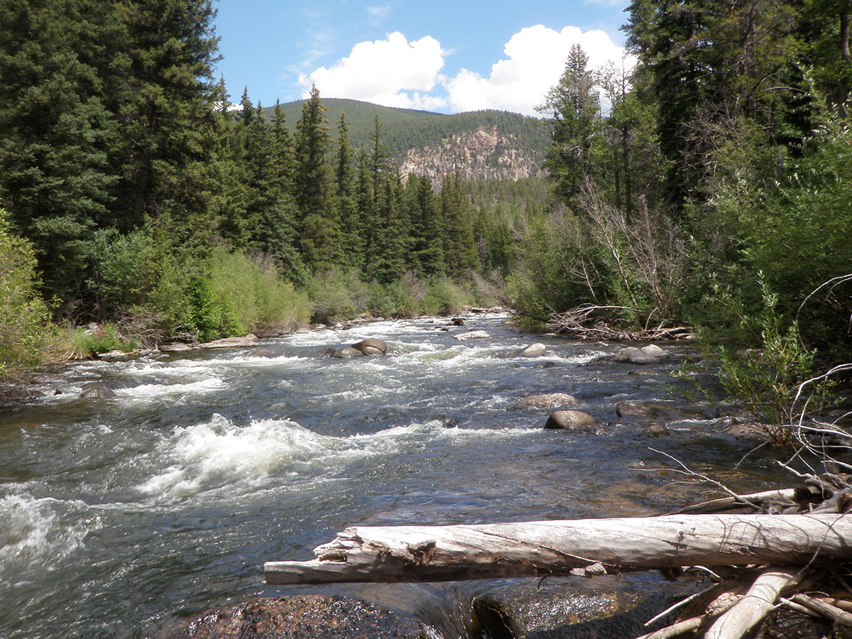 Taylor River Western Land Group